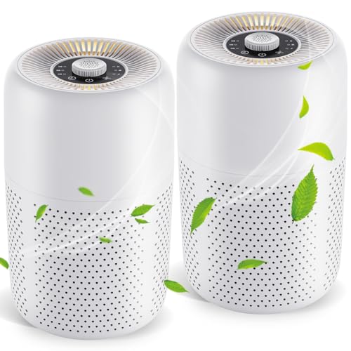 2 Pack TPLMB Air Purifiers for Bedroom H13 HEPA Filter,Fragrance for Better Sleep,Small Air Purifier with Nightlight Speed Control,For Home Living Room Dorm,24dB Filtration System,P60 (2, White)