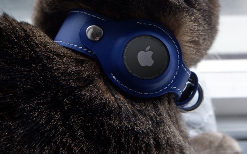 best-cat-trackers-6
