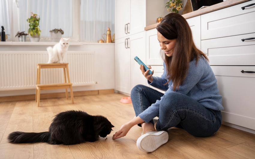 cat-gps-collars-10