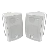 Dual Electronics 4