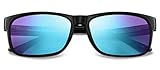 Pilestone TP-025 Tested Success Lens B Color Blind Glasses for Red-Green Color Enhance Indoor Outdoor Use