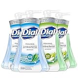 Dial Complete Anti-bacterial Foaming Hand Wash, 60 oz of Foaming Hand Soap. 2-scent Variety Pack Spring Water/Pear, 15 Fluid Ounces each (4 pack)