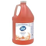 Dial Professional Original Antibacterial Defense Foaming Hand Wash, 1 Gallon Refill Bottle, 128 Fl Oz