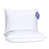 FluffCo Zen Pillow Basics Down Alternative Pillow - 2 Pack | Soft Bed Pillows for Luxury Comfort | Vegan Microfiber, Cooling Surface, Machine Washable | Standard/Queen Size Bed Pillows | 20" x 28"