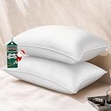 HEYCUZI Queen Size Bed Pillow - Premium Down Alternative Cooling Pillows Set of 2 for Side, Back, and Stomach Sleepers Hotel Quality Fluffy Soft Microfiber Fill Breathable Skin-Friendly