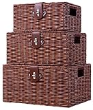 Homepeaz Set of 3 Woven Wicker Storage Basket Box with Lid & Lock, Built-in Carry Handles, Multifunctional Storage Organiser for Nursery, Baby, Clothes, Toys, Books, Large/Medium/Small Size (Natural)