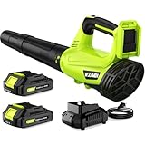 Leaf Blower, Electric Cordless Leaf Blower with 2 Batteries and Charger, 2 Speed Mode, Lightweight Leaf Blowers for Blowing Leaves, Patio Cleaning, Lawn Care and Dust
