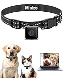 LuminiCam Cat Camera Collar, Direct Recording Camera for Cat/Dog, M-Size Collar, No App, Cordless Cat Collar Camera, Body Camera for Cat/Dog Tracking, Dog Collar Camera(No Micro-SD Card Included)