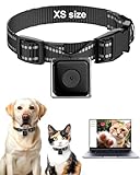 LuminiCam Cat Camera Collar, Direct Recording Camera for Cat/Dog, XS-Size Collar, No App, Cordless Cat Collar Camera, Body Camera for Cat/Dog Tracking, Dog Collar Camera(No Micro-SD Card Included)
