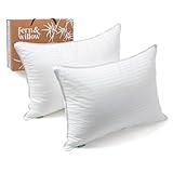 Premium Queen Size Bed Pillows - Set of 2, 20"x28", Cooling Hotel Quality, Down Alternative Fill, Medium Firm Support, Luxury Softness for Side, Back, and Stomach Sleepers