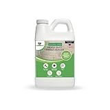 Seal It Green Xtreme Heavy Duty Grout Sealer-Breathe Easy, Stain Block Technology.Odorless,Non-Toxic,Zero VOC-Seals & Protects. Lasts 5+ Yrs. 400+ SF Coverage