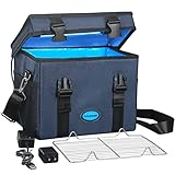 UVC Box Ozone Free with Timer, Portable Large Cleaner Bag with USB Port, UV Light Blue Tote for Mask, Cell Phone, Baby Bottle, Key, Towel