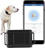 Winnes GPS Tracker for Dog with No Subscription for Application Collar GPS 4G TK919PRO Anti-Lost GPS Locator Waterproof Dog Tracker (Collar Included,SIM Card Required)