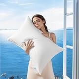 AiAngu Canadian Luxury Goose Down Pillow King Size - 1050 Fill Power, 600 TC Cotton Shell- Ultra Soft and Comfort Sleep Pillows - Bed Pillows for Back, Stomach, Side Sleeper(White,King(Pack of 1))