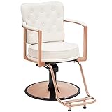 BarberPub Salon Chair for Hair Stylist,Vintage Salon Chair Hydraulic Beauty Spa Styling Equipment 3076(White)