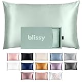 Blissy Silk Pillowcase - 100% Pure Mulberry Silk - 22 Momme 6A High-Grade Fibers - Silk Pillow Cover for Hair & Skin - Regular, Queen & King with Hidden Zipper (Queen, Matcha)