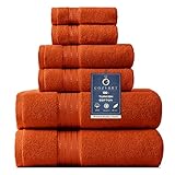 COZYART Burnt Orange Bath Towels Set for Bathroom Turkish Cotton Thick Soft Absorbent Durable 650 GSM Towel Set of 6, 2 Large Bath Towels, 2 Hand Towels, 2 Washclothes