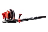 CRAFTSMAN Gas Powered Backpack Leaf Blower, Lightweight Backpack Blower, 220MPH, 51cc, 2-Cycle (CMXGAAMR51BP)