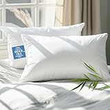 Caelorin Hypoallergenic Bamboo Viscose Breathable Pillows with Down Alternative Filling, Standard/Queen Size Set of 2，Fluffy Luxury Hotel Quality, Oeko-Tex Certified, Machine Washable