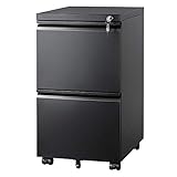 DEVAISE 2 Drawer File Cabinet with Lock, Metal Filing Cabinet Fully Assembled Except Casters, Under Desk File Cabinets for Home Office Fit Letter/Legal/A4 Size Files, Black