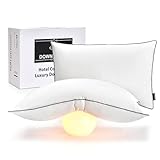DOWNSTORIA Feather Down Pillows King Size Set of 2,Luxury Hotel Collection Bed Pillow 2 Pack,Down Surrounded Pillows for Sleeping，Soft Fluffy for Side Sleepers 20x36 in.