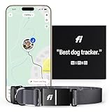 Fi Series 3 Smart Dog Collar - GPS Dog Tracker and Activity & Fitness Monitor, Waterproof, LED Light, Escape Alerts, Nationwide Coverage [Free 6 Month Membership] (Gray, Large)