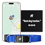 Fi Series 3 Smart Dog Collar - GPS Dog Tracker and Activity & Fitness Monitor, Waterproof, LED Light, Escape Alerts, Nationwide Coverage [Free 6 Month Membership] (Blue, Large)