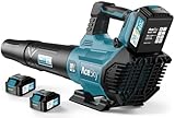 Leaf Blower Cordless - 580CFM/160MPH & 3 Speed Levels Electric Leaf Blower with 2 x 4.0Ah Battery and Charger, Extension Tube Blower for Lawn Care, Yard, Garage, Blowing Leaves, Dust or Snow, Blue