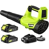 Leaf Blower, Electric Cordless Leaf Blower with 2 Batteries and Charger, 2 Speed Mode, Lightweight Leaf Blowers for Blowing Leaves, Patio Cleaning, Lawn Care and Dust