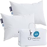 Lincove Cloud Natural Canadian Down Pillow, White Luxury Sleeping Pillow - 625 Fill Power, 500 Thread Count Cotton Shell, Made in Canada, King - Medium, 2 Pack