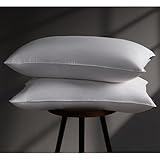 Luxury Goose Feather Down Pillow Queen Size Set of 2 Pack,100% Cotton Hotel Collection Bed Pillows for Sleeping,Soft Support Medium Firm Down Surrounded Pillows for Side Back Stomach Sleeper 20