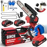 Mini Chainsaw Cordless, 6Inch Mini Chain Saw Battery Powered with Auto Oiler-System & Security Lock, 2000MAH Rechargeable Battery*2 & Chains*2 for Wood Trees Branch Courtyard Cutting