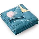 Mr. Sandman Weighted Blanket 3 Pounds Washable, Best for 20-40lb Breathable Cotton Heavy Blanket with Nontoxic Glass Beads - 36