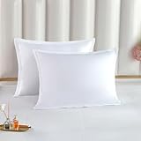 The Cotton & Silk 100% Luxury Long-Staple Cotton Pillow Sham/Pillowcase, Set of 2, with Envelope Closure on The Back, White, King Size