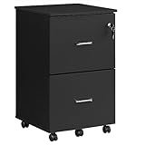 VASAGLE 2-Drawer File Cabinet, Locking Filing Cabinet for Home Office, Small Rolling File Cabinet, Printer Stand, A4, Letter-Size Hanging File Folders, Ink Black ULCD027T16V2
