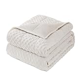 Wemore Minky Dot Weighted Blanket for Adults Queen Size 15 lbs, Soft Heavy Blanket for Stress Relief and Sleep Promotion, Breathable Blanket for All-Season with Glass Beads, White 60 x 80 inches