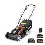 Worx 40V 14